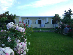 Zante Summer Retreats - Marietta's Studios Drosia